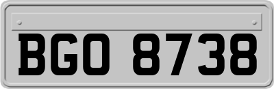 BGO8738