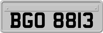 BGO8813