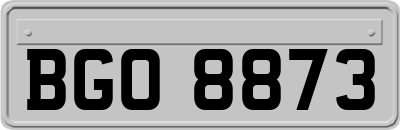 BGO8873