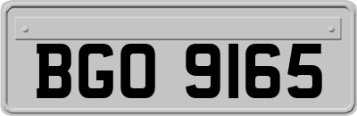 BGO9165