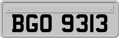 BGO9313
