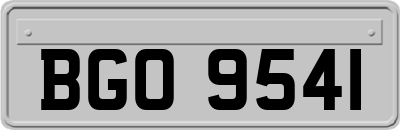BGO9541