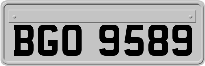 BGO9589