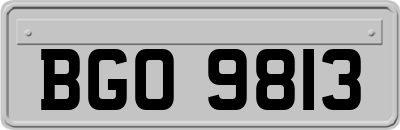 BGO9813