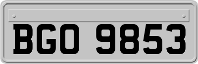 BGO9853