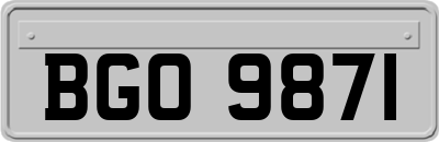BGO9871