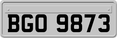 BGO9873