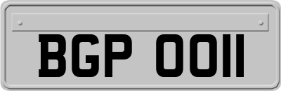 BGP0011