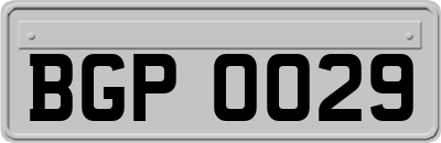 BGP0029