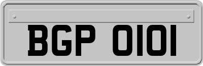 BGP0101