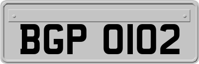 BGP0102