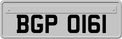 BGP0161