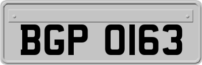 BGP0163