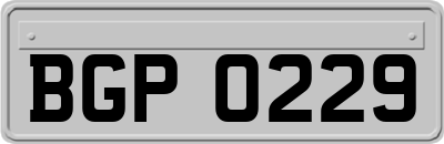 BGP0229