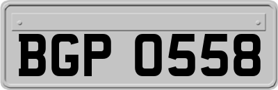 BGP0558