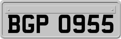 BGP0955