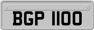 BGP1100