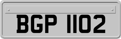 BGP1102