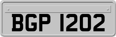 BGP1202