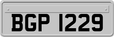 BGP1229