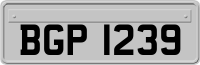 BGP1239