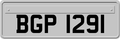 BGP1291
