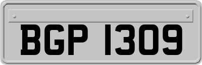 BGP1309