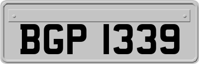 BGP1339