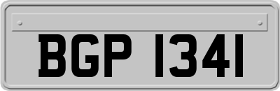 BGP1341