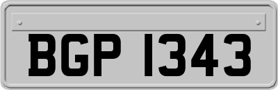 BGP1343