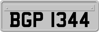 BGP1344
