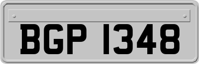 BGP1348