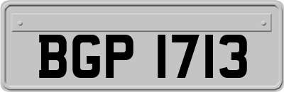 BGP1713