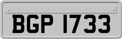 BGP1733