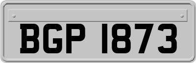 BGP1873