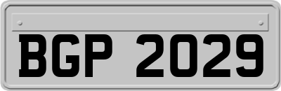 BGP2029