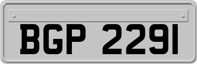 BGP2291