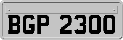 BGP2300