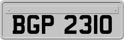 BGP2310