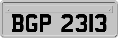 BGP2313