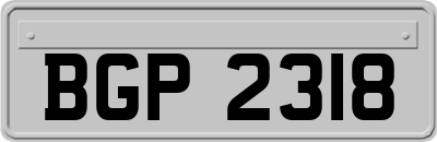 BGP2318