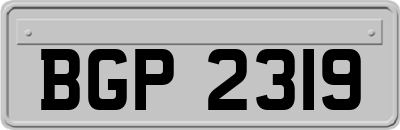 BGP2319