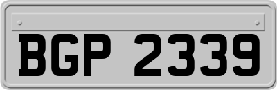 BGP2339
