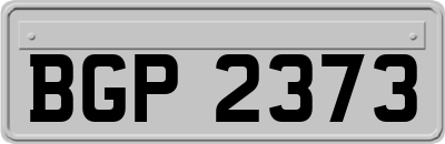BGP2373