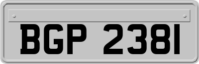 BGP2381
