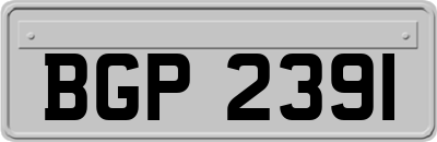BGP2391