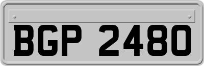 BGP2480