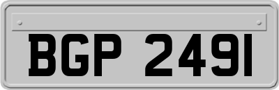 BGP2491