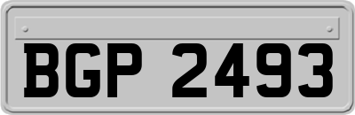 BGP2493