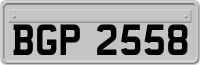 BGP2558